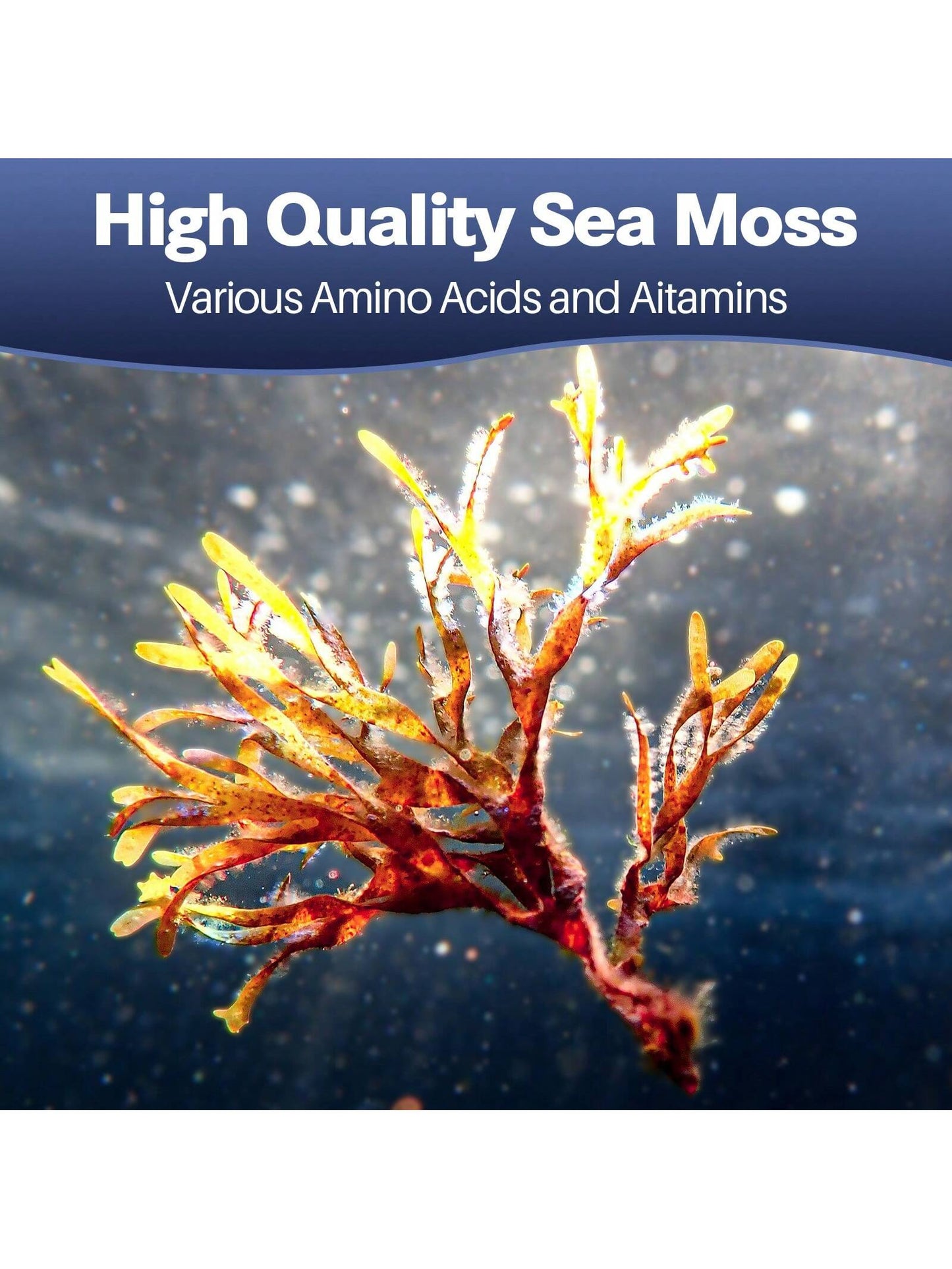 25-In-1 Super Sea Moss Black Seed Oil Capsules | 120 Capsules
